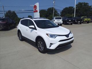 2018 Toyota RAV4 Hybrid for sale in Warren OH