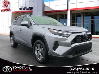 2024 Toyota RAV4 Hybrid for sale in Mcdonald TN