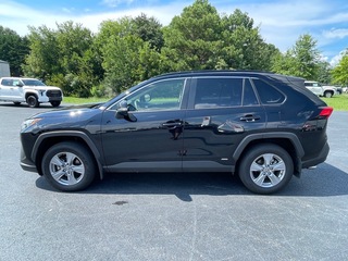 2022 Toyota RAV4 Hybrid for sale in Morristown TN