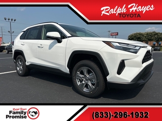 2025 Toyota RAV4 Hybrid for sale in Anderson SC