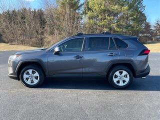 2019 Toyota RAV4 for sale in Morristown TN