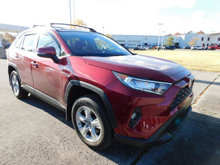 2019 Toyota RAV4 for sale in Clarksville TN