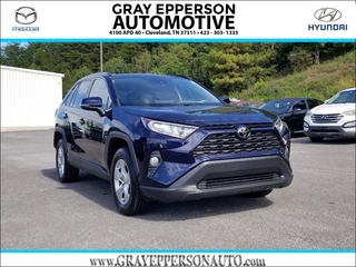 2021 Toyota RAV4 for sale in Cleveland TN