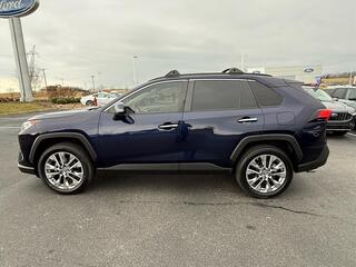 2019 Toyota RAV4 for sale in Dandridge TN