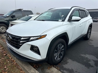 2022 Hyundai Tucson Hybrid for sale in Greeneville TN