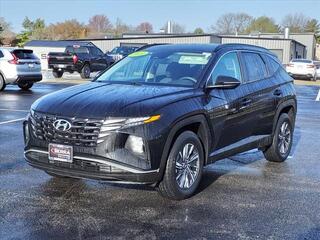 2022 Hyundai Tucson Hybrid for sale in Savoy IL