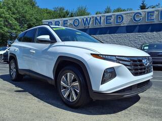 2022 Hyundai Tucson Hybrid for sale in Vernon/Rockville CT