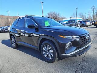 2022 Hyundai Tucson Hybrid for sale in Green Brook NJ