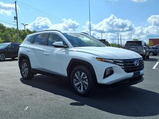 2024 Hyundai Tucson Hybrid for sale in Syracuse NY