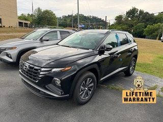 2024 Hyundai Tucson Hybrid for sale in Johnson City TN