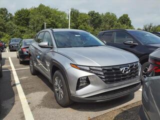 2024 Hyundai Tucson Hybrid for sale in Stow OH