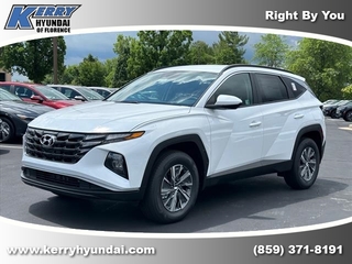 2024 Hyundai Tucson Hybrid for sale in Florence KY