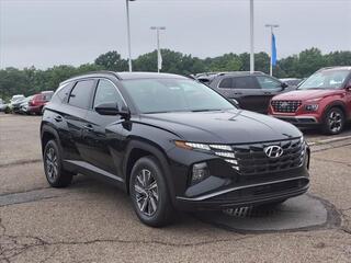 2024 Hyundai Tucson Hybrid for sale in Stow OH