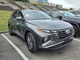 2024 Hyundai Tucson Hybrid for sale in Roanoke VA