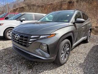 2024 Hyundai Tucson Hybrid for sale in Mount Hope WV