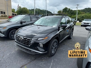 2024 Hyundai Tucson Hybrid for sale in Johnson City TN