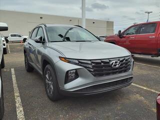 2024 Hyundai Tucson Hybrid for sale in Stow OH