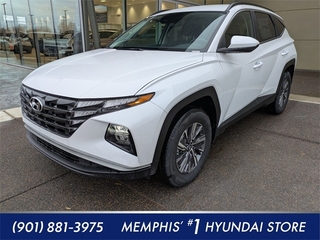 2024 Hyundai Tucson Hybrid for sale in Memphis TN