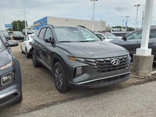 2024 Hyundai Tucson Hybrid for sale in Stow OH