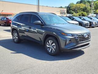 2024 Hyundai Tucson Hybrid for sale in Syracuse NY