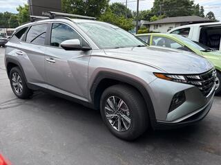 2024 Hyundai Tucson Hybrid for sale in Asheville NC