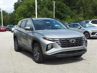 2024 Hyundai Tucson Hybrid for sale in Stow OH