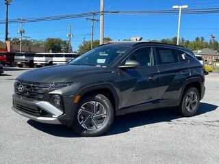 2025 Hyundai Tucson Hybrid for sale in Mount Hope WV