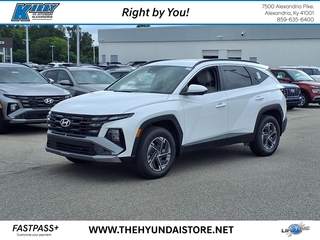 2025 Hyundai Tucson Hybrid for sale in Alexandria KY