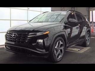 2024 Hyundai Tucson Hybrid for sale in Plano TX