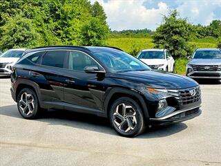 2024 Hyundai Tucson Hybrid for sale in Ringgold GA