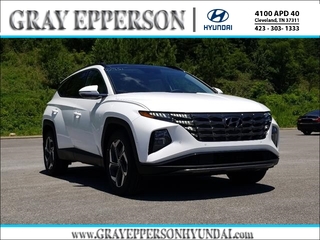 2024 Hyundai Tucson Hybrid for sale in Cleveland TN