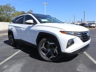 2024 Hyundai Tucson Hybrid for sale in Knoxville TN