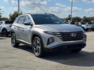 2024 Hyundai Tucson Hybrid for sale in Greenville SC