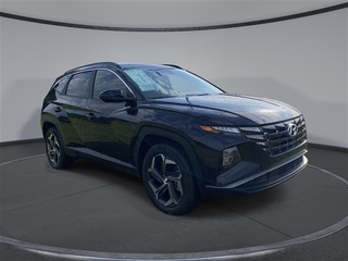 2024 Hyundai Tucson Hybrid for sale in Wake Forest NC