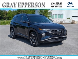 2024 Hyundai Tucson Hybrid for sale in Cleveland TN