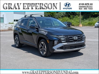 2025 Hyundai Tucson Hybrid for sale in Cleveland TN
