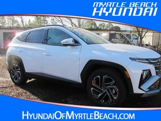 2025 Hyundai Tucson Hybrid for sale in Myrtle Beach SC