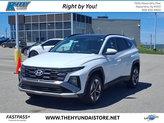 2025 Hyundai Tucson Hybrid for sale in Alexandria KY