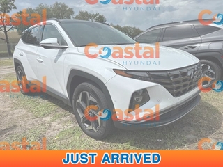 2022 Hyundai Tucson Hybrid for sale in Melbourne FL