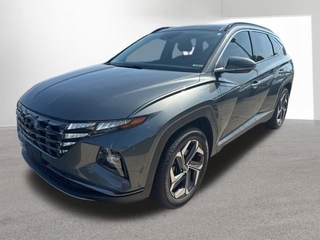2022 Hyundai Tucson Hybrid for sale in Indianapolis IN