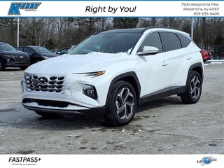 2022 Hyundai Tucson Hybrid for sale in Alexandria KY