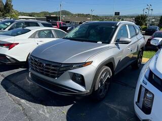 2024 Hyundai Tucson Hybrid for sale in Johnson City TN