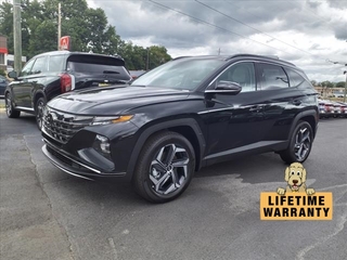 2024 Hyundai Tucson Hybrid for sale in Bristol TN