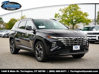 2024 Hyundai Tucson Hybrid for sale in Torrington CT