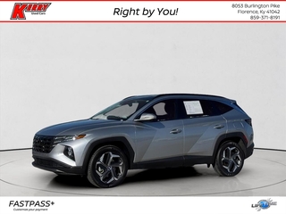 2024 Hyundai Tucson Hybrid for sale in Florence KY