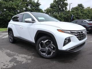 2024 Hyundai Tucson Hybrid for sale in Knoxville TN