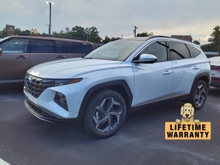 2024 Hyundai Tucson Hybrid for sale in Bristol TN