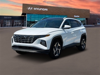 2024 Hyundai Tucson Hybrid for sale in Waukesha WI