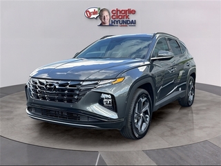 2024 Hyundai Tucson Hybrid for sale in Fort Mill SC