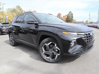 2024 Hyundai Tucson Hybrid for sale in Knoxville TN